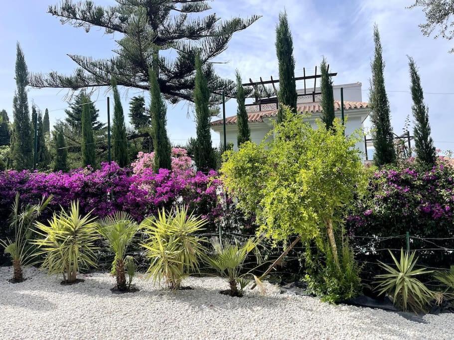 Villa Marbella * Marbella